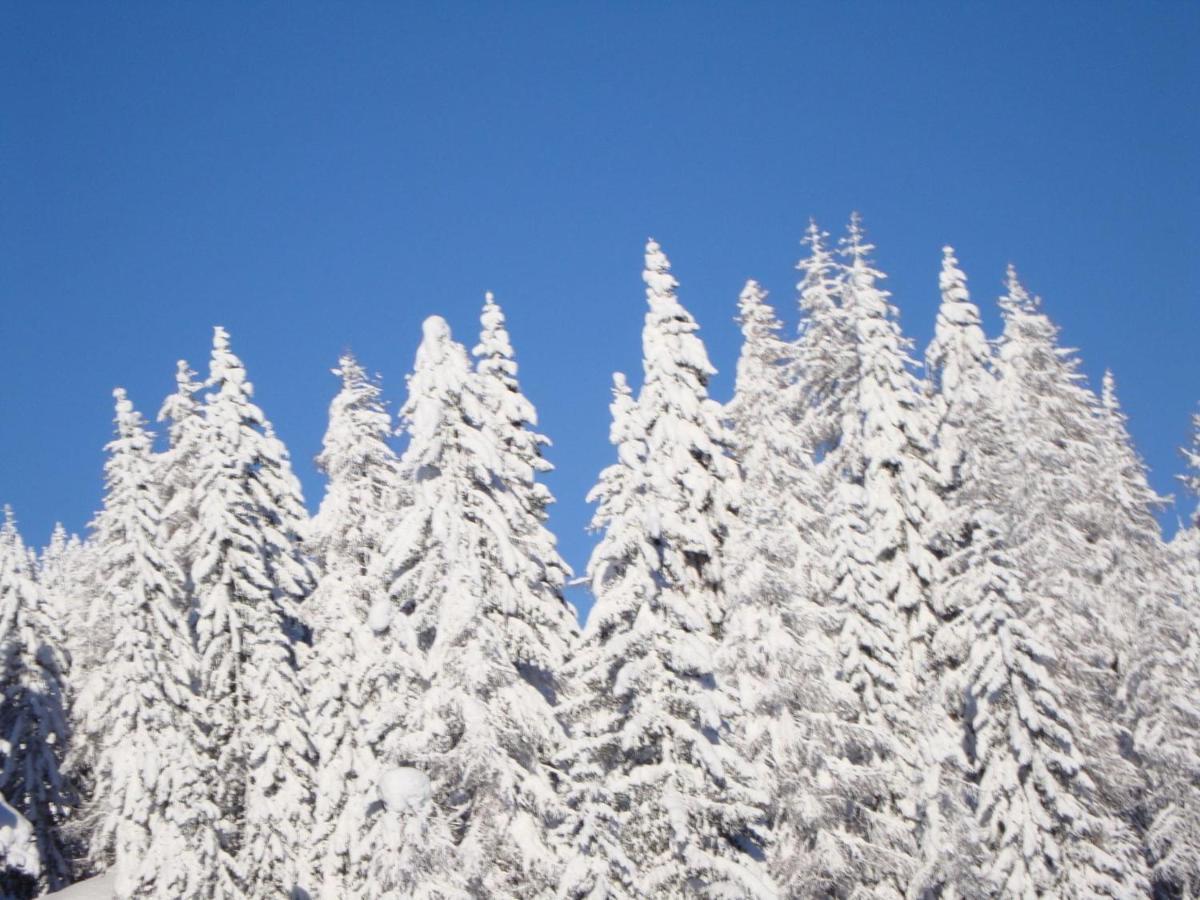 Chalet In Nassfeld Ski Area In Carinthia ซอนเนนอัลเพอ นัสส์เฟลด์ ภายนอก รูปภาพ